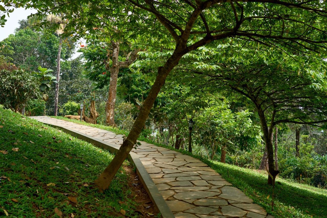 Haze And Kites Resort Munnar Exterior foto