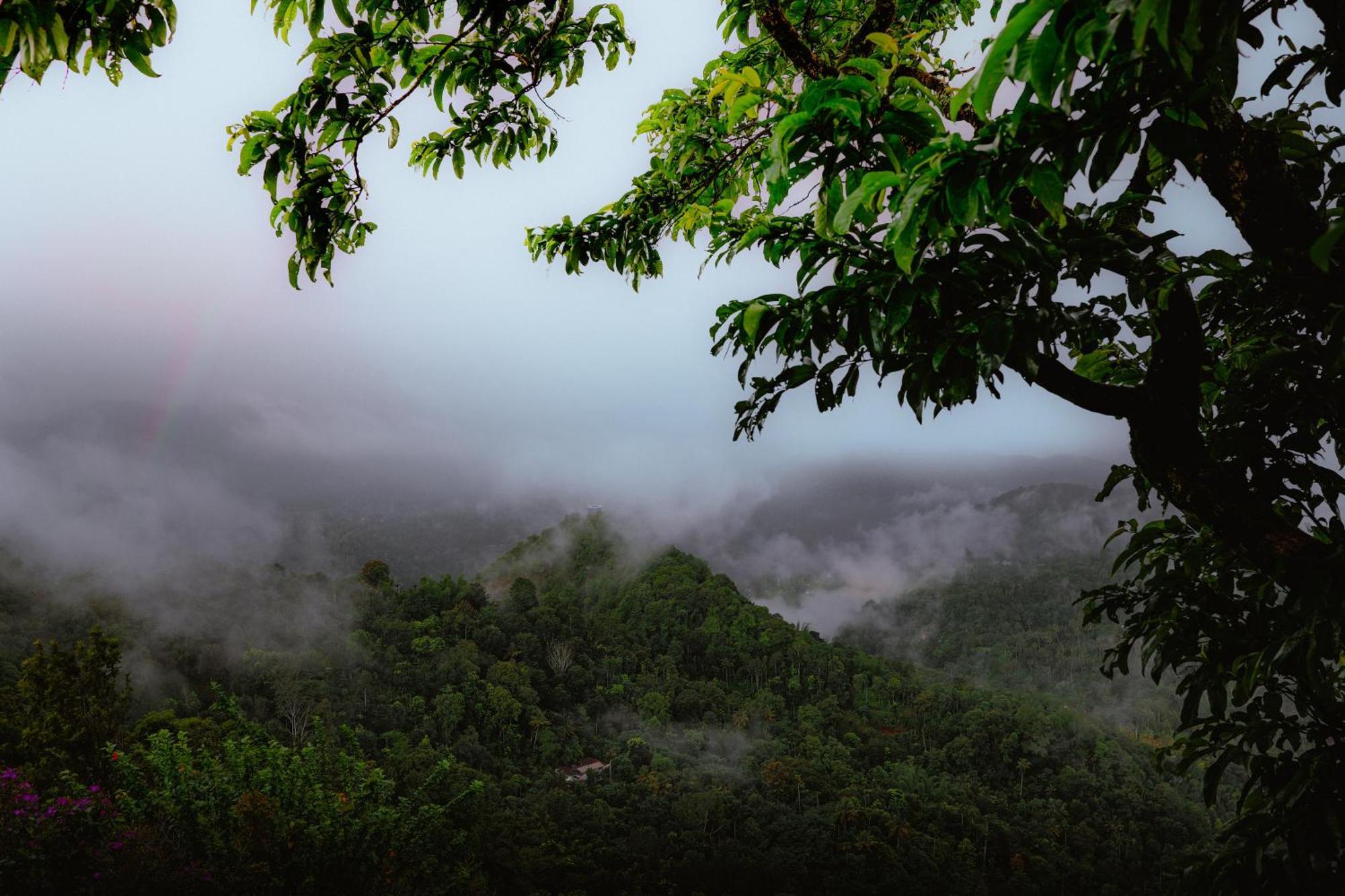 Haze And Kites Resort Munnar Exterior foto